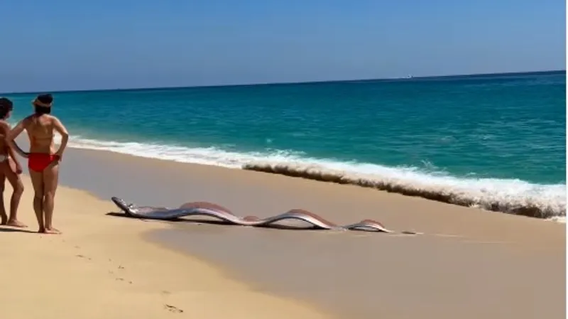 Сразу три редких "предвестника катастроф" выбросило на берег: что говорят ученые