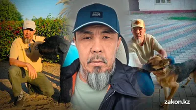 Забота – не воспитание: кинолог о том, как правильно ухаживать за собакой, фото - Новости Zakon.kz от 11.03.2026 16:01