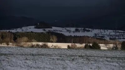 Тело чабана нашли в Павлодарской области, фото - Новости Zakon.kz от 11.03.2026 18:10