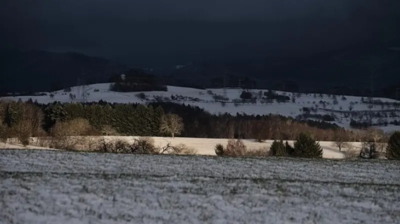 Уехал за скотом и не вернулся: чабана нашли мертвым в степи Павлодарской области
