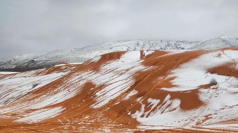 Сугробы на песке: пустыню Сахару замело снегом