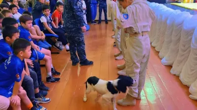 Атырау, подростковая преступность, полиция, фото - Новости Zakon.kz от 13.03.2026 14:00