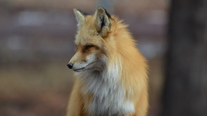 Без билета через океан: тайный пассажир переплыл Атлантику и удивил американцев