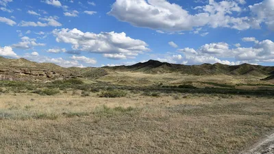 Жусандалинская государственная заповедная зона, фото - Новости Zakon.kz от 13.03.2026 11:55
