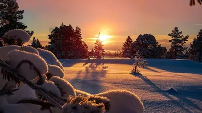 солнце и снег, погода, фото - Новости Zakon.kz от 13.03.2026 14:36