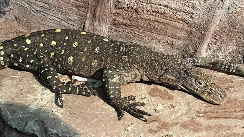 Алматинский зоопарк поделился хорошей новостью