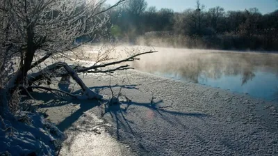 Родные девочки, которую мать якобы утопила в Семее, просят возобновить ее поиски