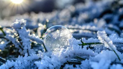 заморозки на траве, фото - Новости Zakon.kz от 13.03.2026 18:10