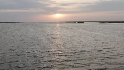 Северный Арал, вода, фото - Новости Zakon.kz от 13.03.2026 14:57