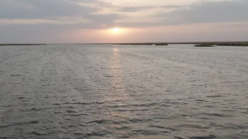 Северный Арал ждет очередное спасение: что придумали в Казахстане