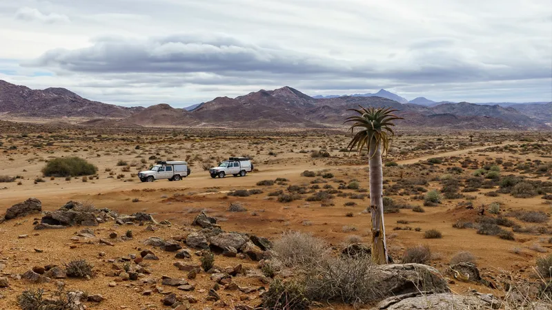 Мужчина чудом выжил после того, как сорвался на машине в глубокий каньон