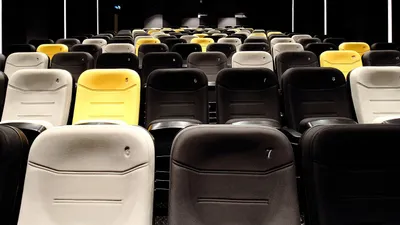 Золотая малина, фото - Новости Zakon.kz от 16.03.2026 02:30