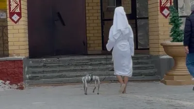 Робот-собака, фото - Новости Zakon.kz от 15.03.2026 08:49