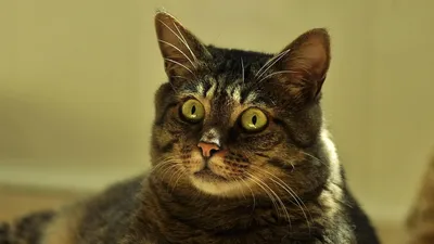 Гороскоп на 16 марта, фото - Новости Zakon.kz от 16.03.2026 08:15