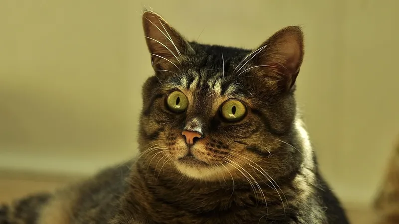 Гороскоп на 16 марта: неожиданные повороты и новые решения