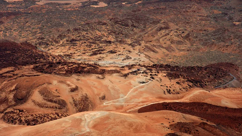 Астрономы обнаружили следы пчел и рептилий на Марсе