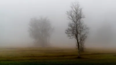 штормовое предупреждение, фото - Новости Zakon.kz от 16.03.2026 20:05