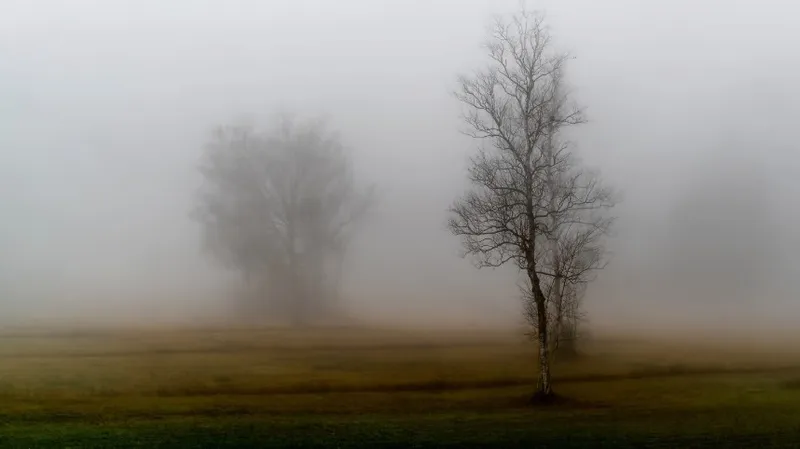 Штормовое предупреждение: опасная погода накроет ряд областей Казахстана во вторник