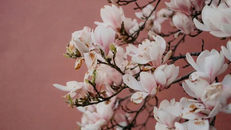 Непредсказуемый апрель в Казахстане: заморозки, дожди и до +33°C