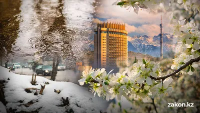 погода весной в Алматы, фото - Новости Zakon.kz от 18.03.2026 09:52