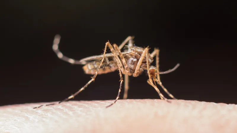 В Казахстане фиксируют завозные случаи малярии