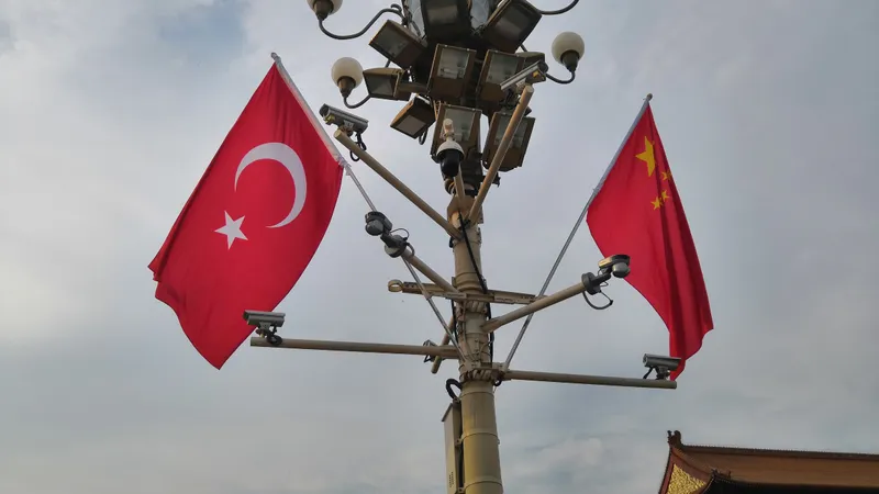 В Китае и Турции сделали заявления по референдуму в Казахстане