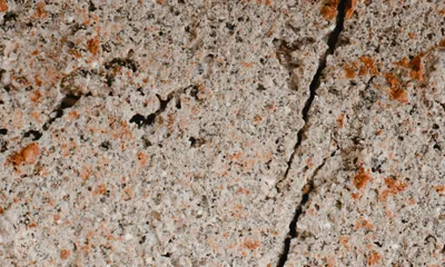 Удивительную находку обнаружили под антарктическим ледником, фото - Новости Zakon.kz от 18.03.2026 19:35