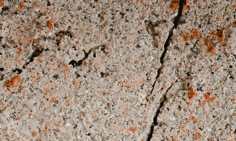 Удивительную находку обнаружили под антарктическим ледником