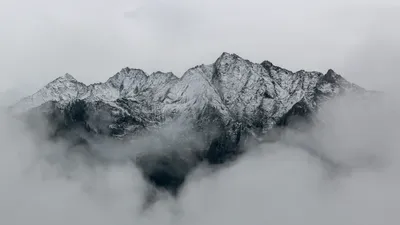 Альпы, туман, снег, фото - Новости Zakon.kz от 19.03.2026 03:30