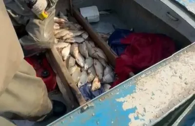 Больше 100 килограммов рыбы обнаружили у браконьеров в Туркестанской области, фото - Новости Zakon.kz от 18.03.2026 19:15