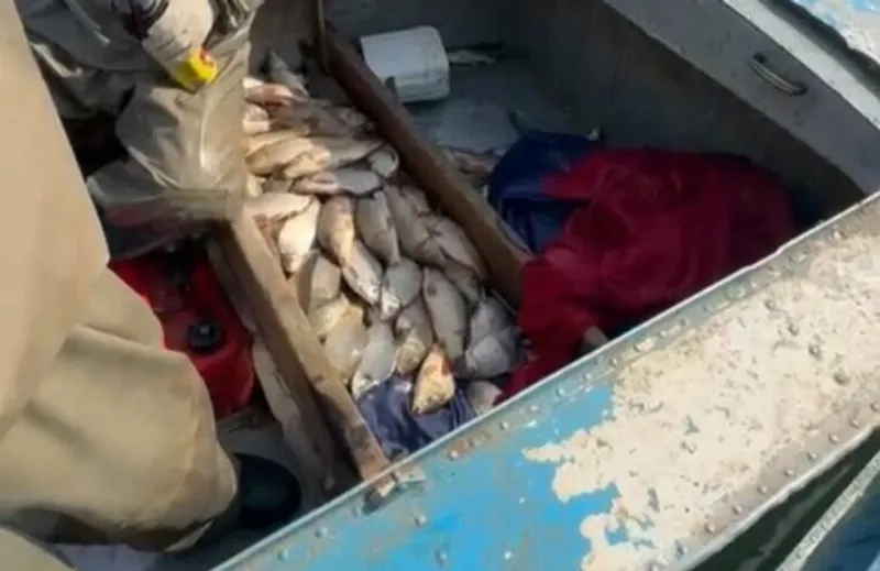 Больше 100 кг рыбы обнаружили у браконьеров в Туркестанской области