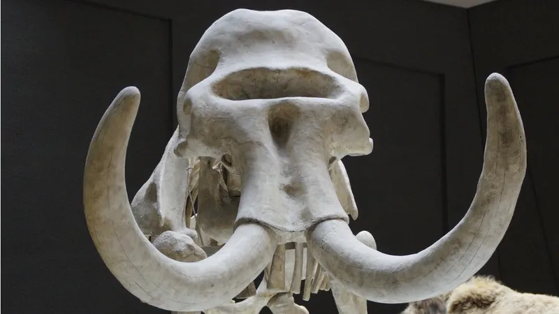 Туристы сломали в музее бивень мамонта стоимостью более 96 миллионов тенге