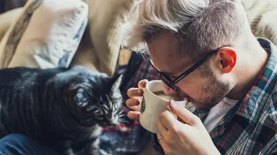 Гороскоп на 20 марта, фото - Новости Zakon.kz от 20.03.2026 08:12