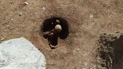 Во Франции нашли скелета в сидячем положении, фото - Новости Zakon.kz от 20.03.2026 05:15