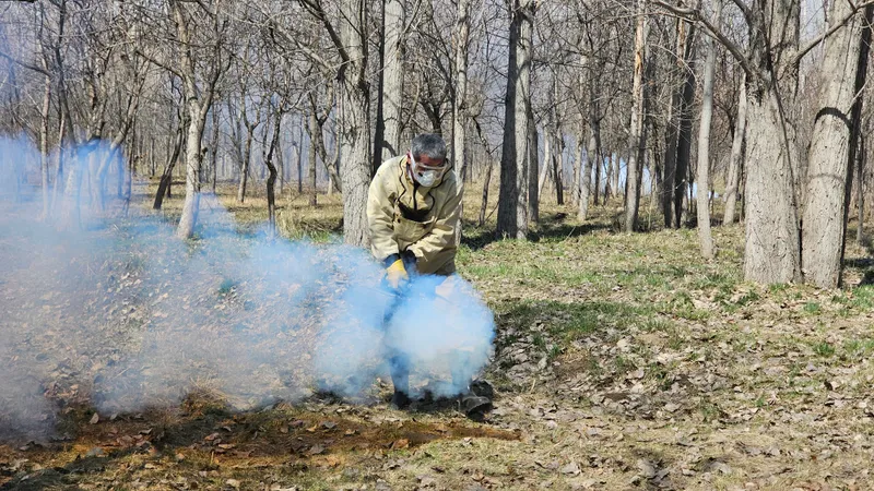 Противоклещевая дезобработка, противоклещевая обработка, обработка против клещей, клещи, обработка от клещей, фото - Новости Zakon.kz от 20.03.2026 17:22