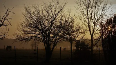 штормовое предупреждение, фото - Новости Zakon.kz от 20.03.2026 20:01