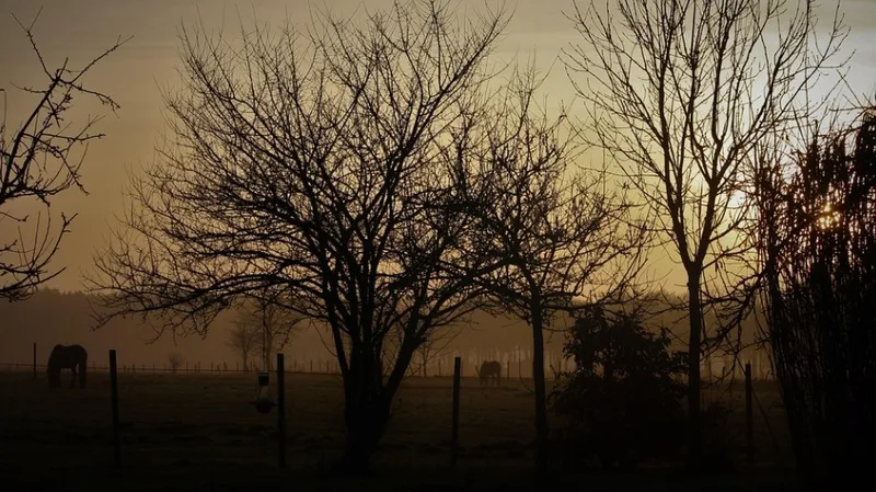 Риск аварий и травм: штормовое предупреждение объявили в Казахстане на субботу