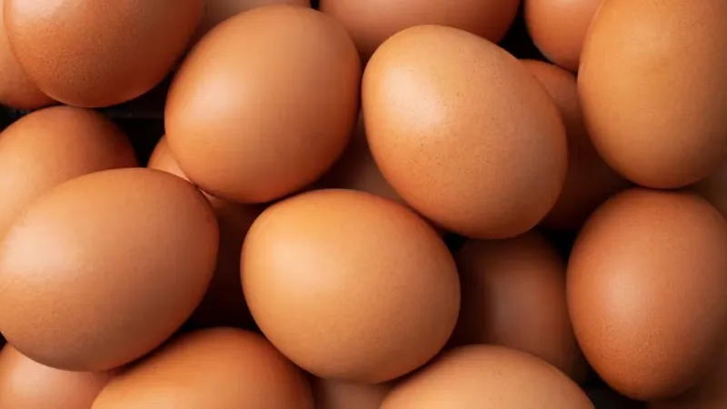 Яичный дефицит в Германии: к Пасхе ситуация может ухудшиться