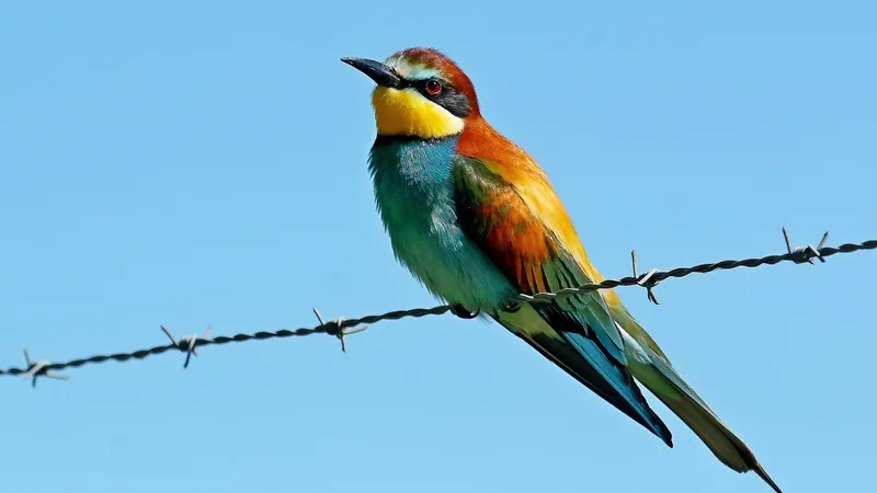 День крайностей и сильных чувств: гороскоп на 22 марта