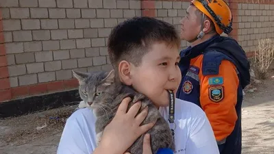 спасатели сняли кошку с дерева, фото - Новости Zakon.kz от 23.03.2026 09:34