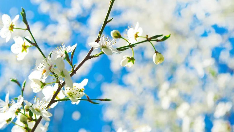 Что категорически нельзя делать, а что принесет удачу 23 марта