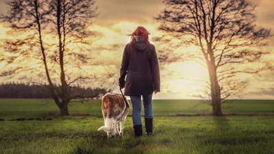 выгул собаки, фото - Новости Zakon.kz от 23.03.2026 09:26