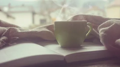 кружка, книга, фото - Новости Zakon.kz от 24.03.2026 09:09