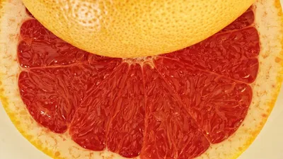 генная модификация грейпфрута, фото - Новости Zakon.kz от 26.03.2026 20:16