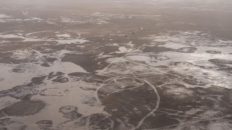 Исследования и озеленение: в Атырау разрабатывают меры по борьбе с пыльными бурями