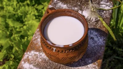 Кумыс, фото - Новости Zakon.kz от 28.03.2026 00:52