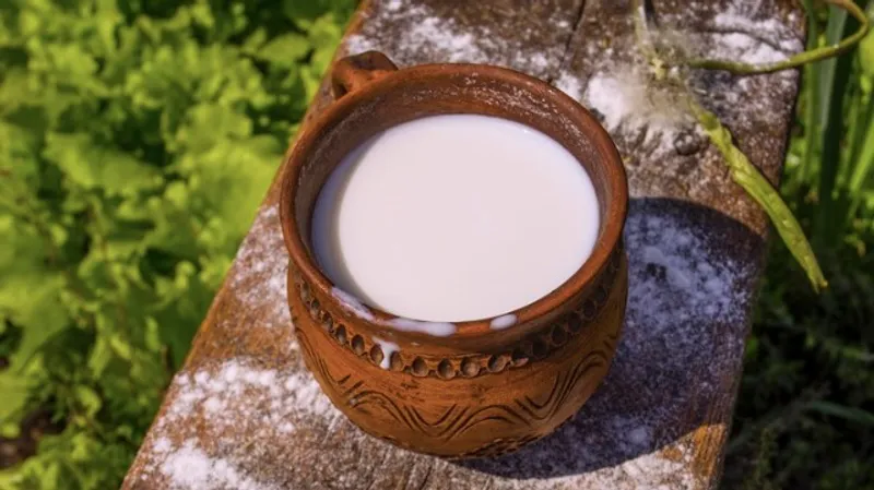 Подделку кумыса хотят приравнять к серьезному правонарушению в Кыргызстане