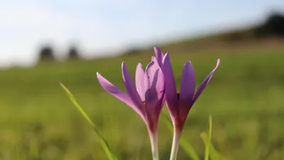 прогноз погоды, фото - Новости Zakon.kz от 27.03.2026 16:30