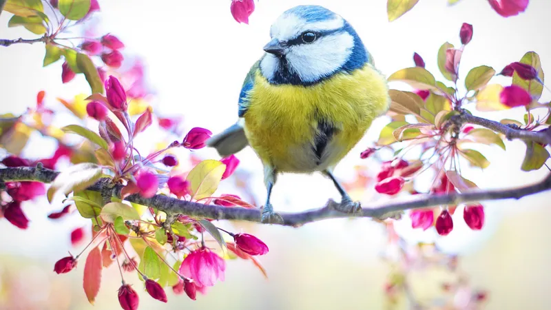 До +28°C и местами дожди: прогноз для Астаны, Алматы и Шымкента на выходные