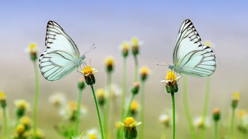 Жара до +30°С и дожди с грозами обрушатся на Казахстан